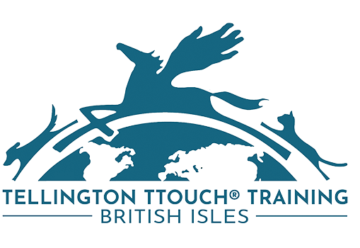 touch logo bi transparent 18