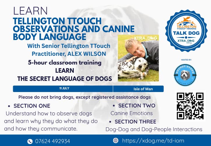 isle of Man Talk Dog Poster 725 x 315 px