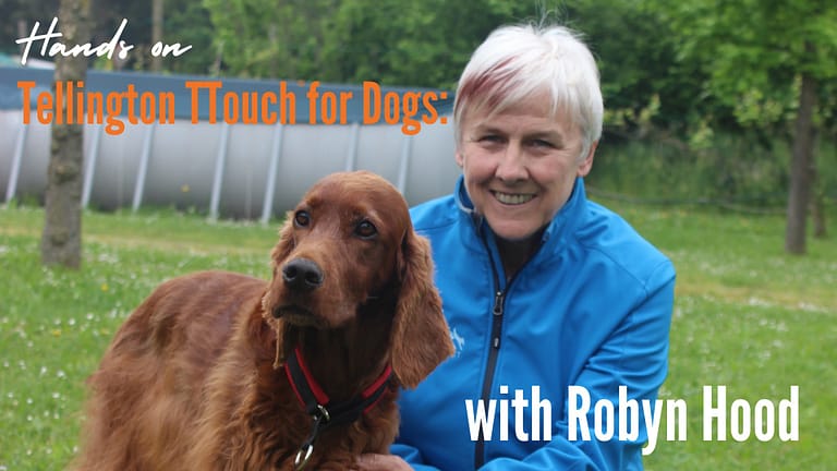 Robyn dogs 768x432