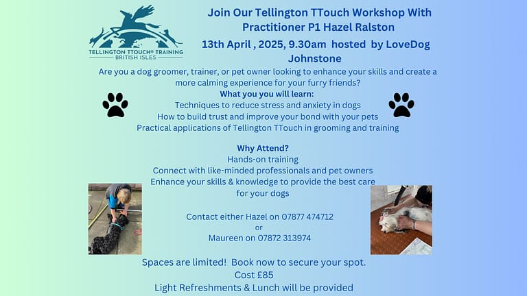 website copy  768x432