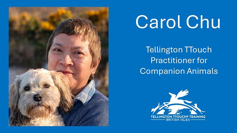 ttouch profile pic 768x432