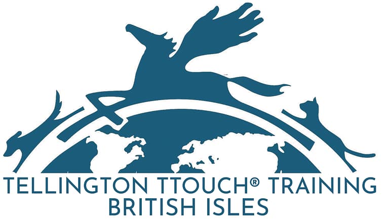 ttouch logo GBv1 4 768x435