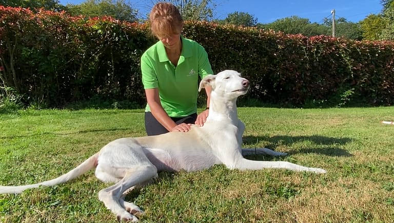 3DEBFEC1 C09A 476D 8C03 E18A077AF27D 768x435