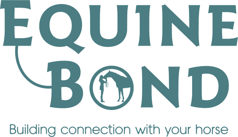 EB Main logo Marine Teal High res no bckcgd 1 768x441