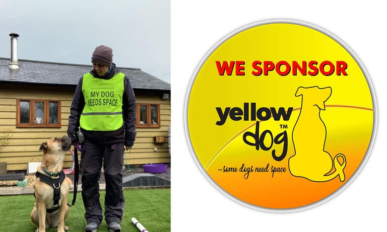 TTouch Guild images 1 768x461