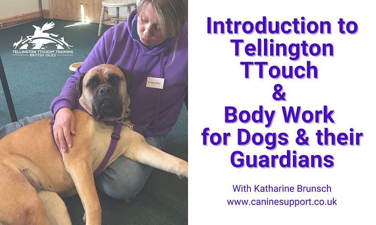 TTouch course 1 768x461