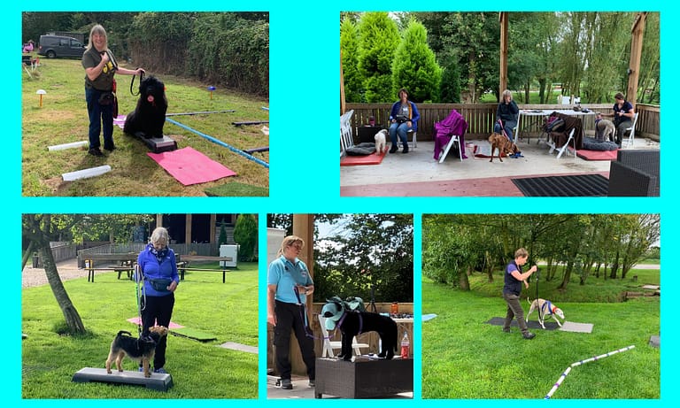 TTouch Guild images 4 768x461