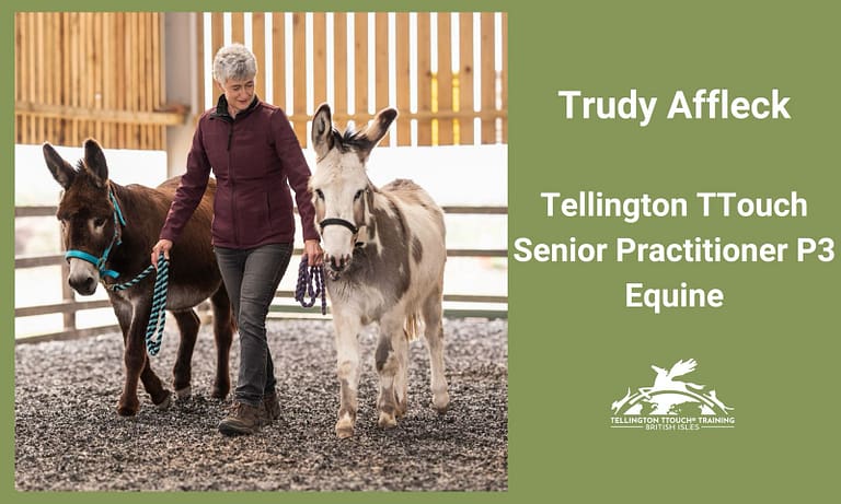 Guild photo 1 768x461