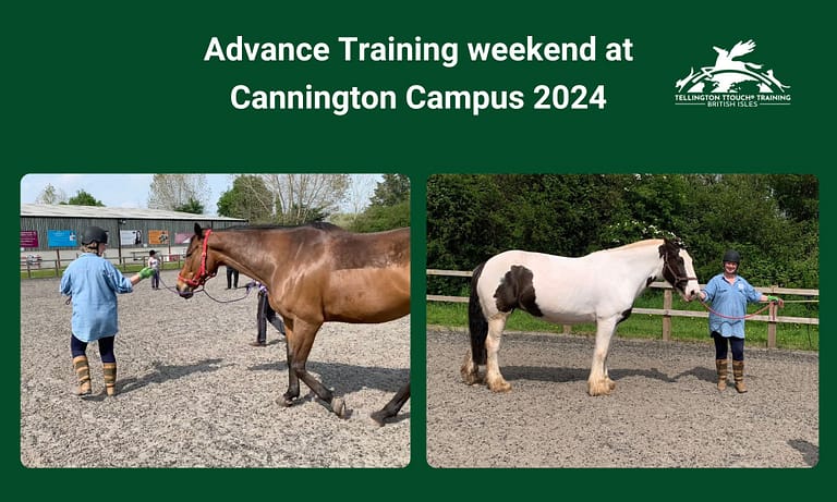 Messenger creation 0F98DB7A 6279 4AF0 9B0A 111657F766BD 768x461