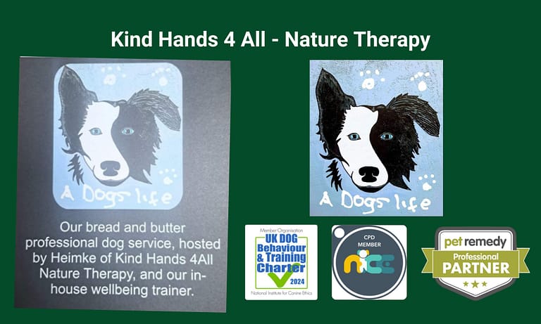 Messenger creation 157ED29A 0FF0 42A0 A817 83B2C7A65DB2 768x461