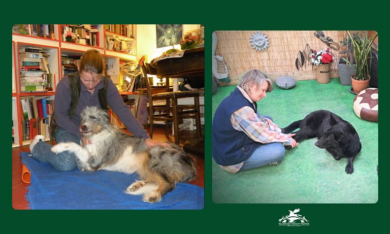 Messenger creation 5607750B EA0C 4C54 9C7D 131358BAC674 768x461