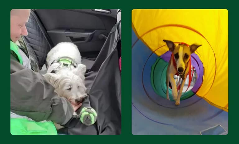 Messenger creation 9507AB6B 68A4 4B6D 950A 19D9CE0CCACF 768x461