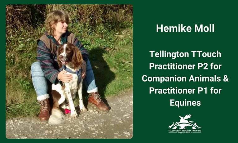 Messenger creation E36EEDBC 2797 448A 9687 DBDF09241747 768x461