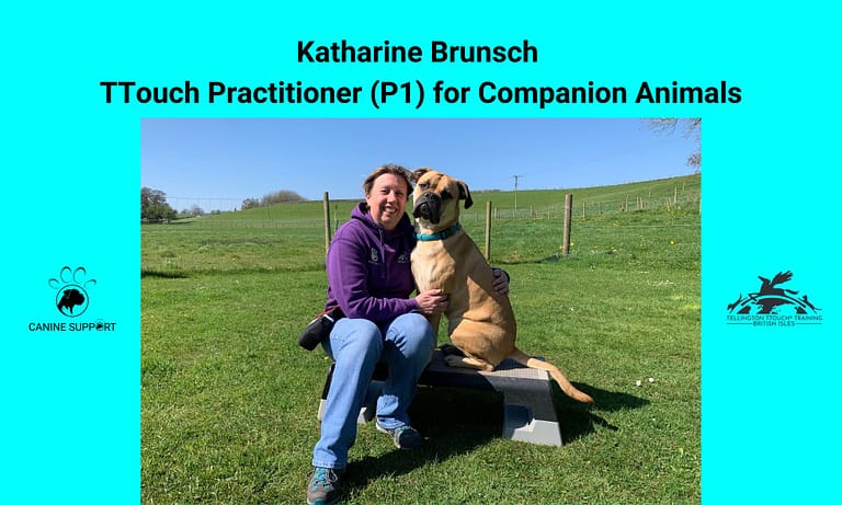 TTouch Guild images 768x461