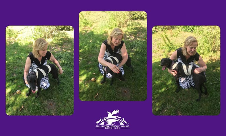 PHOTO 2025 05 16 11 22 35 768x461