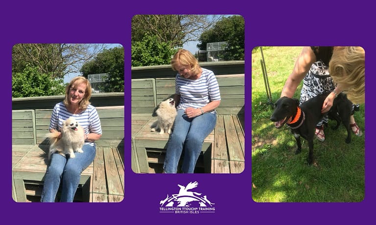 PHOTO 2025 05 16 11 22 44 768x461