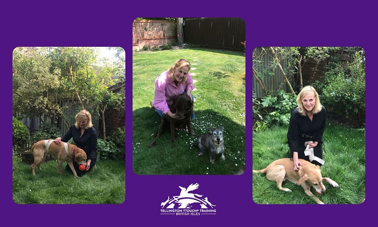 PHOTO 2025 05 16 11 22 44 3 768x461