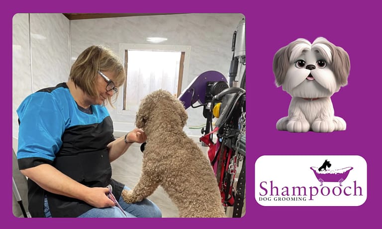 att.DRx9prDwt50zFFncE6wtpCCOBSASxxA FGF4tiRX1bg.png 768x461