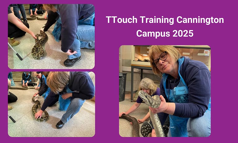 att.Iou9DEHPT46weyeowxPdQ  gkR9Hvz3drCqiqhd agw.png 768x461