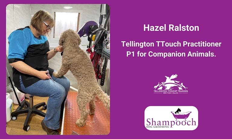 att.RNWHMM kpWP1R0glrSawrtH2U5ceogwunkuBSHQ w8o.png 768x461