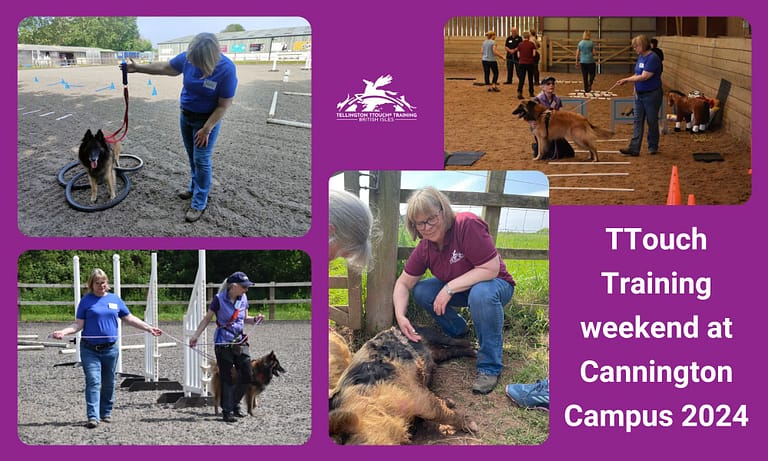 att.XpJCjDsSIh2ocp7ZlC8 eVYu6xYsfJwSOgk6l uiPoY.png 768x461