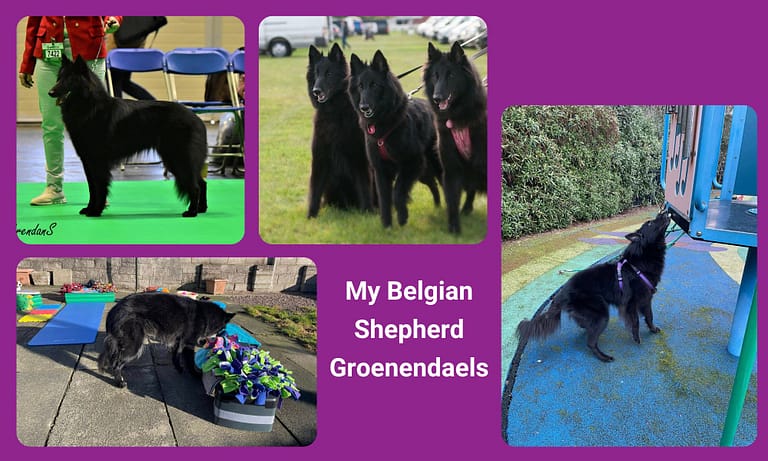 att.zMd10XjQ9dvN75rz0i702GeAkIN8YWk3BqaXikSSE U.png 768x461