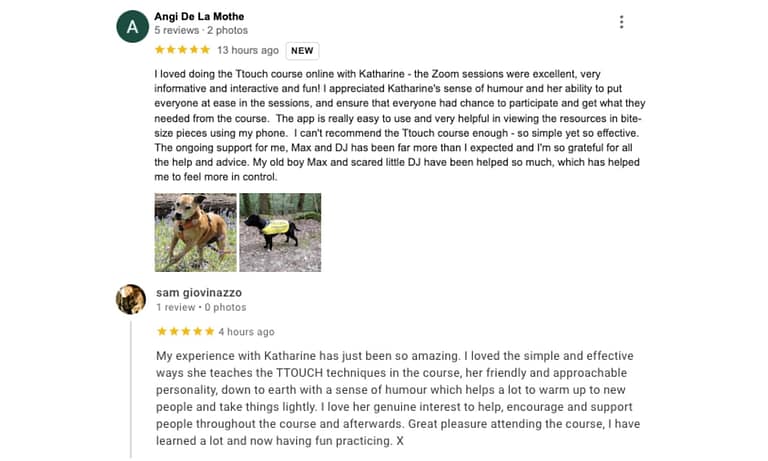 Review1 768x461