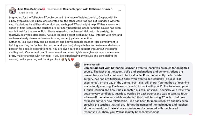 Reviews2 768x461