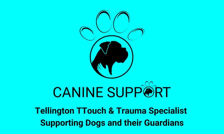 TTouch Guild images 1 768x461