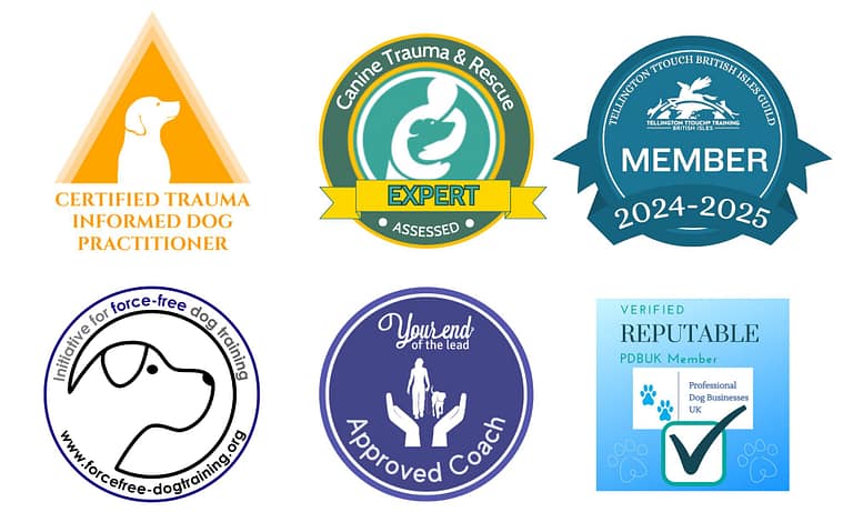 TTouch Guild images 2 768x461