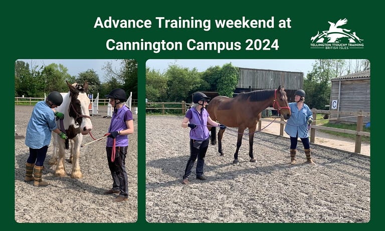 Messenger creation 2E3DD7BF 821F 4784 B009 10A030A8A5D3 768x461