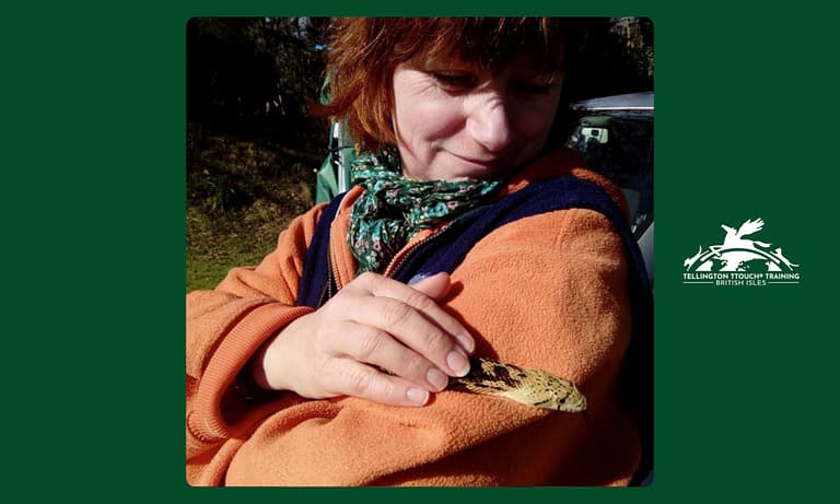 Messenger creation E592C01A 905B 4C91 9CC6 9FCA55870481 768x461