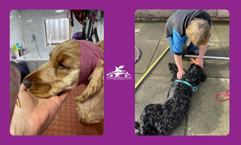 att.vWt3bIYA n8i5YLdqc7Tijm2LZzpn1hs5Fp1YD5GUlM.png 768x461