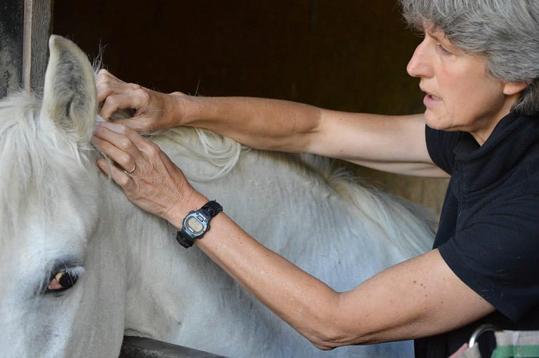 39442041 196054451118963 5084385265712103424 n 768x510