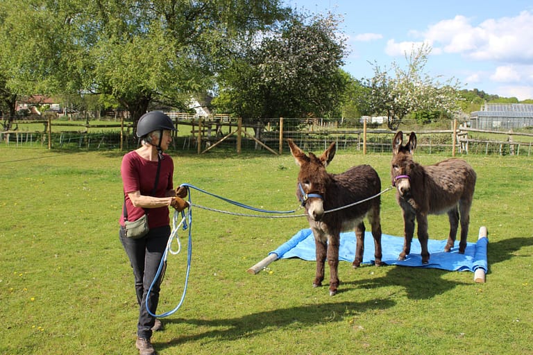 Youngsters exploring different surfaces