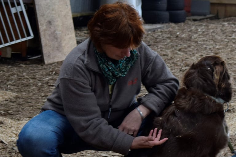 Julia Rist 2 1 768x512