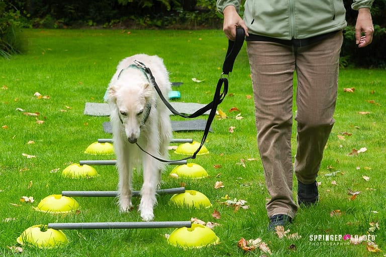 Idris workshop 768x512