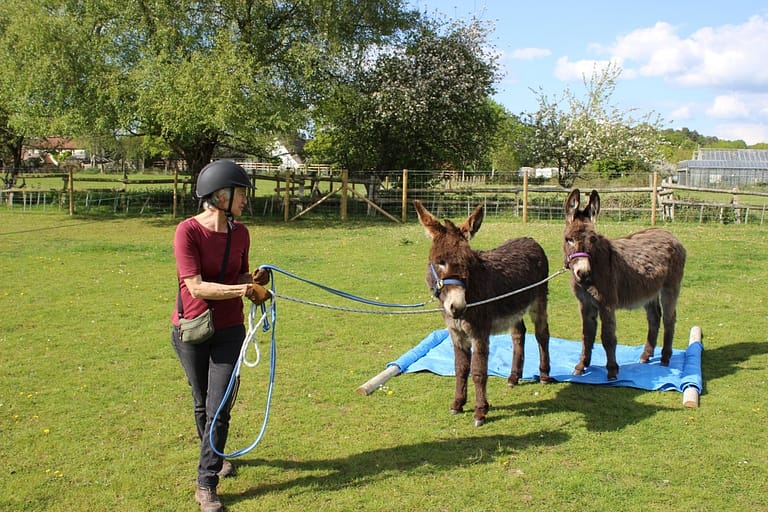 Youngsters exploring different surfaces Youngsters exploring different surfaces