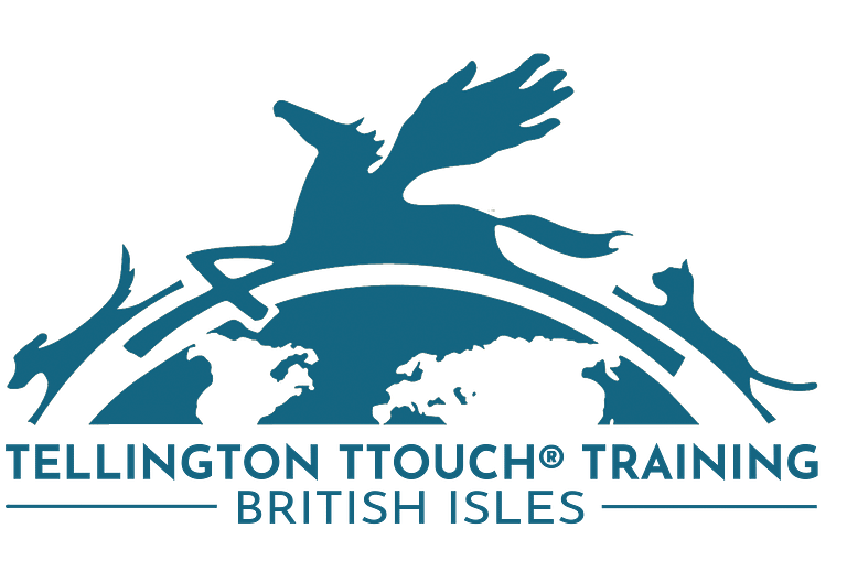 ttouch logo keylines. sm 768x528