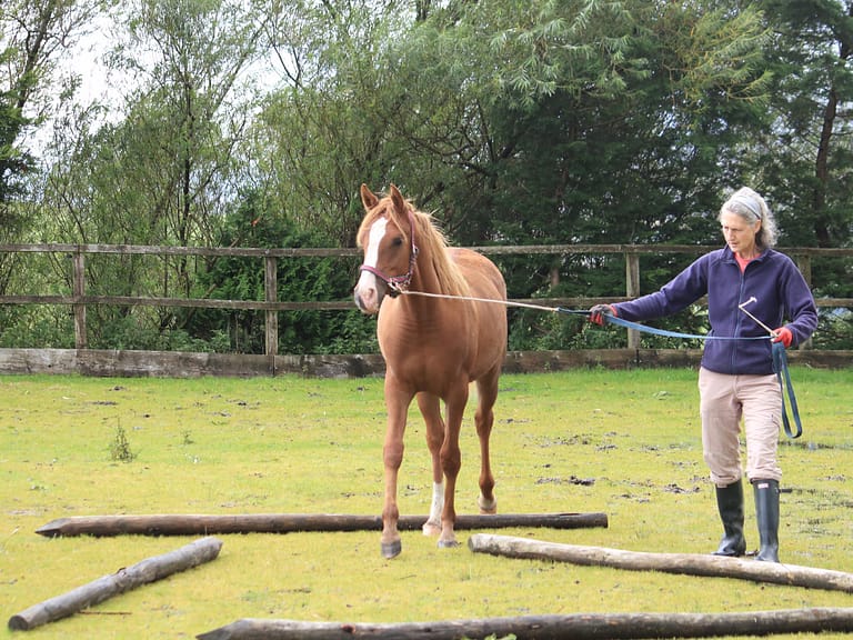 118376525 2704173969912094 107413517573302592 n 768x576