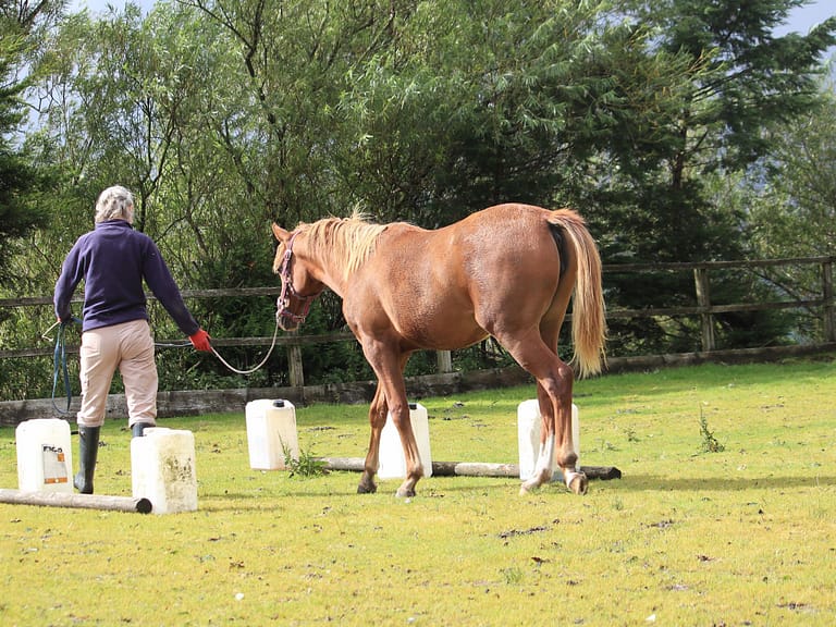 118397812 1235527920128415 1618384783167818422 n 768x576