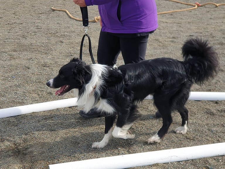 20190922 135600b 768x576