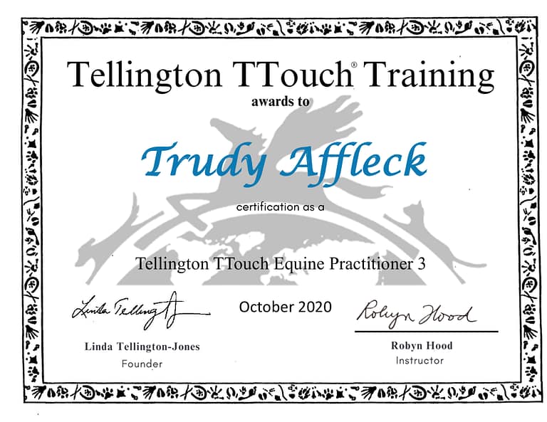 Screenshot 2025 05 10 082759 768x593