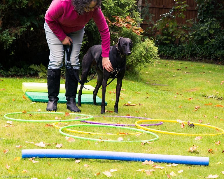 WBA Kai Groundwork Web 768x614