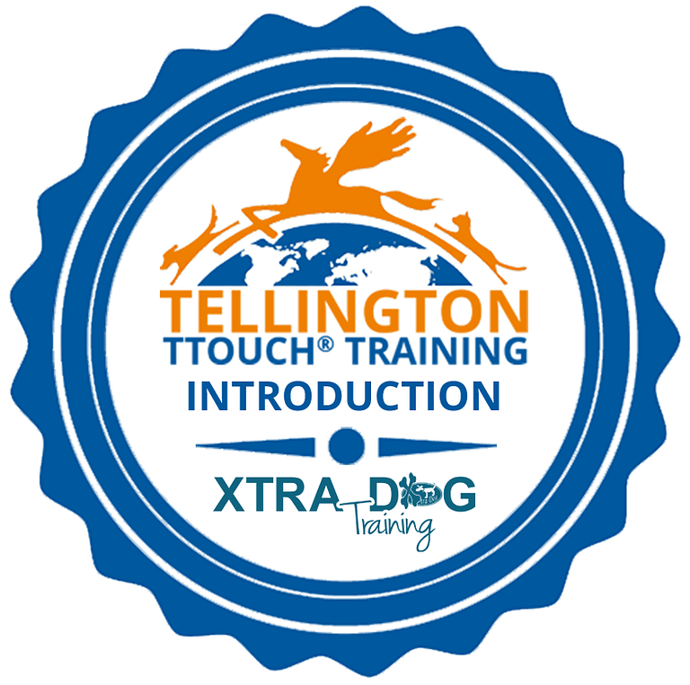 ttouch intro course badge 768x763