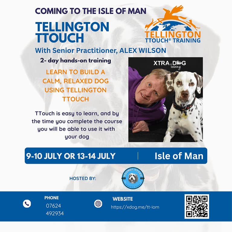 Copy of Isle of Man TTouch Poster 1000 x 1000 px 768x768