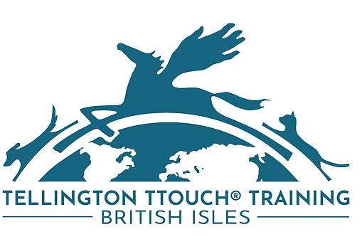 Tellington Touch For Dogs