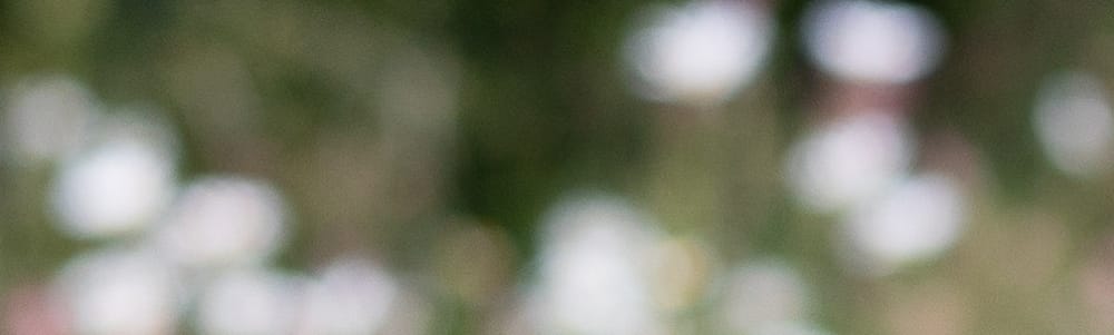 User banner image