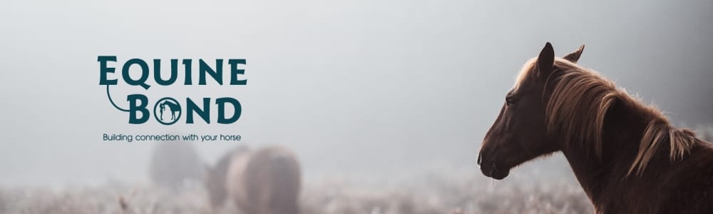 User banner image