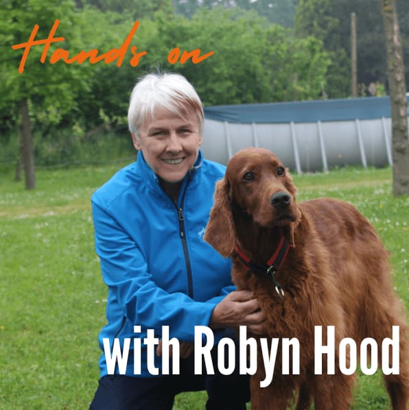 Screenshot 2026 01 06 151323